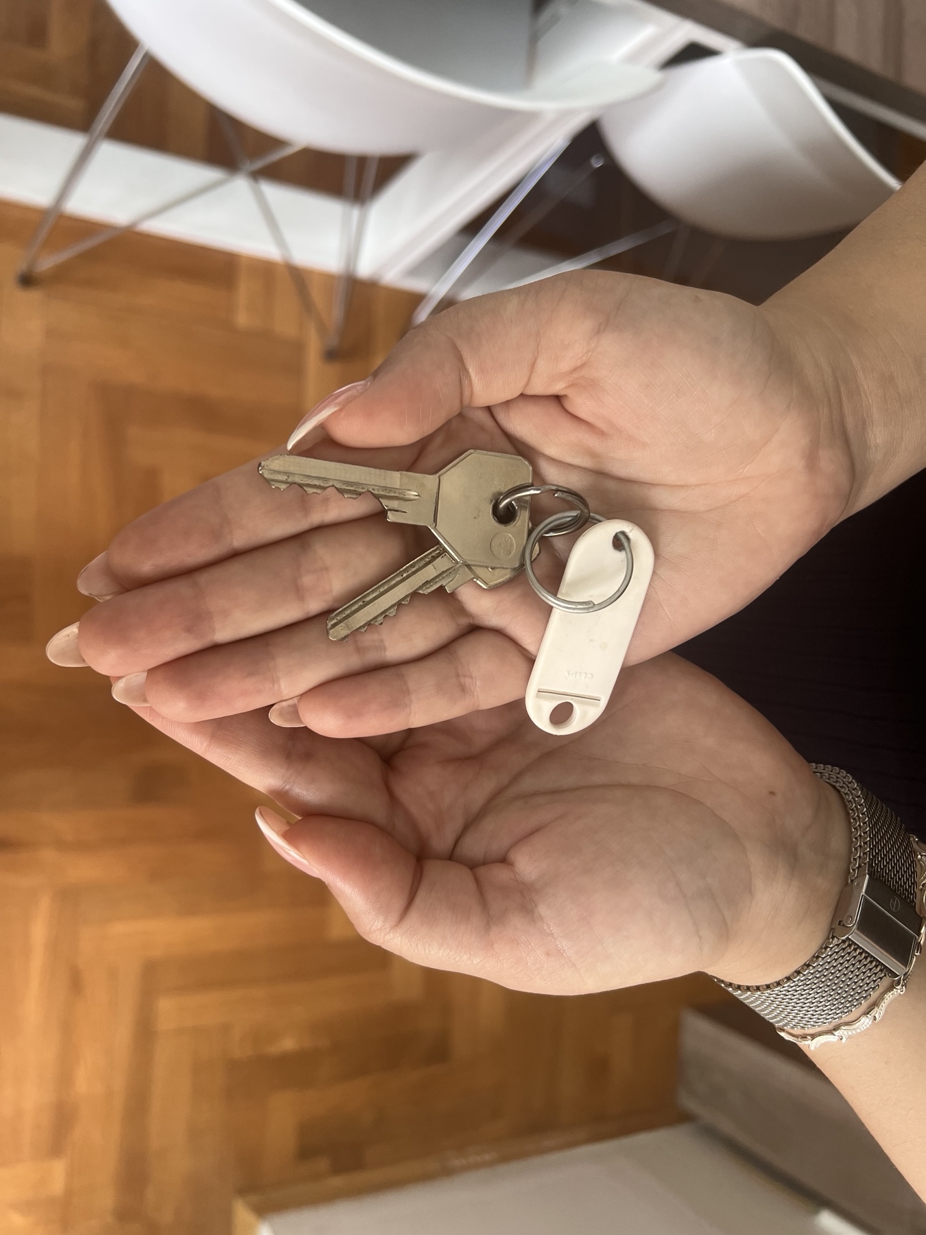 Kako postati agent za nekretnine u Srbiji: Vodič kroz zakonske uslove, stručne ispite i pravila profesije